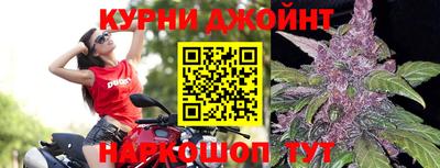 гашик Ливны