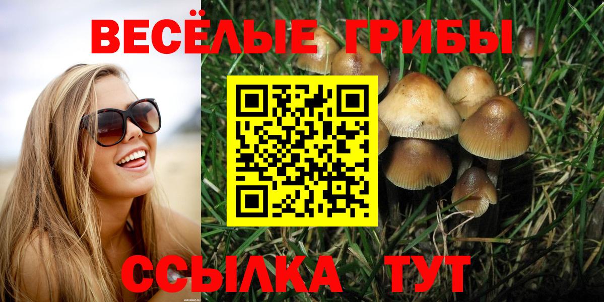 Галлюциногенные грибы MAGIC MUSHROOMS Зеленогорск