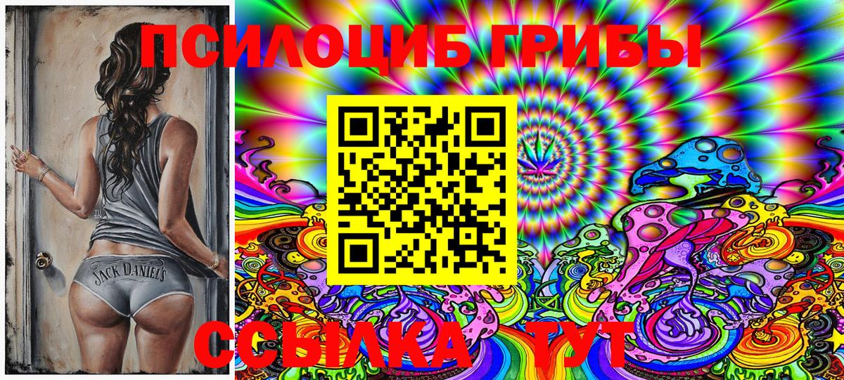 Псилоцибиновые грибы Psilocybine cubensis  Вход с VPN  Псилоцибиновые грибы Magic Shrooms  Зеленогорск 